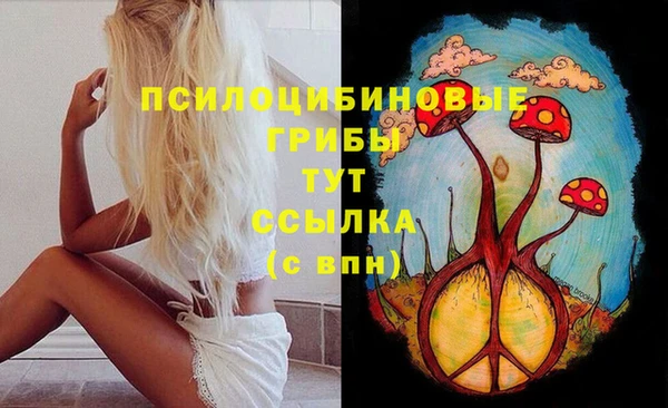 ГАЛЛЮЦИНОГЕННЫЕ ГРИБЫ Алзамай