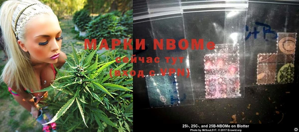 PSILOCYBIN Алексеевка
