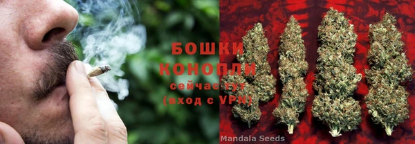 PSILOCYBIN Алексеевка
