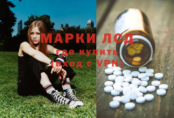 PSILOCYBIN Алексеевка
