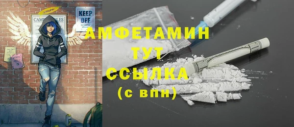 ГАЛЛЮЦИНОГЕННЫЕ ГРИБЫ Алзамай