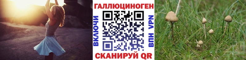 даркнет наркотические препараты  Олонец  гидра   Галлюциногенные грибы мухоморы  магазин продажи  